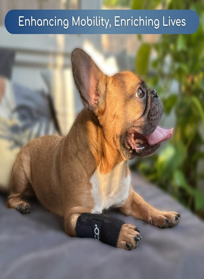 Fico Dog Front Leg Brace for Wrist Support, Carpal Brace for Dog & Cats, Vet Approved Dog Leg Sleeve with Removable Splints, Orthopedic Support for Arthritis, Injury & Post-Surgery Recovery Wrap (S) - Image 5
